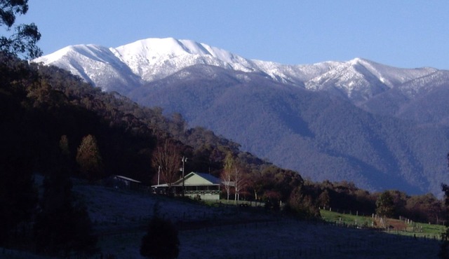 Riverbend Homestead Horse and Farmstay