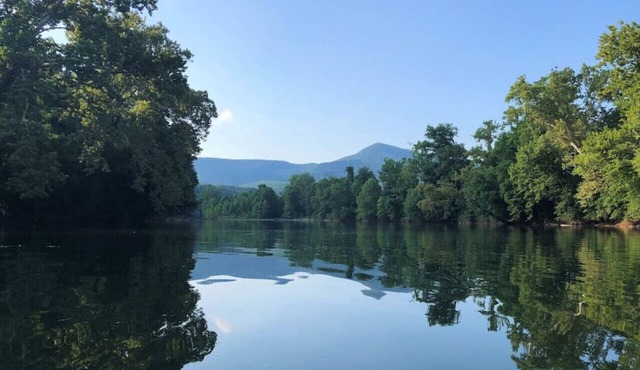 Riverfront Cabin! Campfires, Farm, Trail & Kayaks
