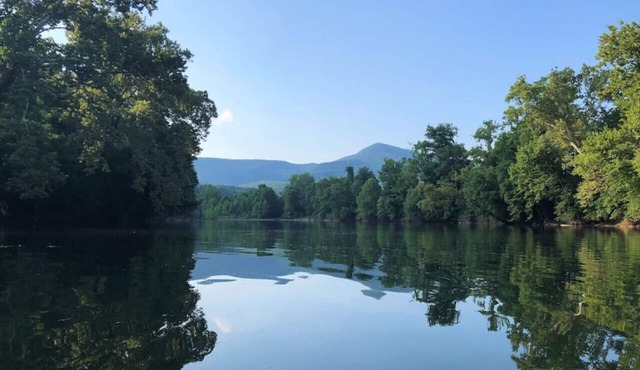 Riverfront Cabin! Campfires, Farm, Trail & Kayaks