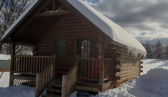 Riverfront Cabin West Branch Delaware River