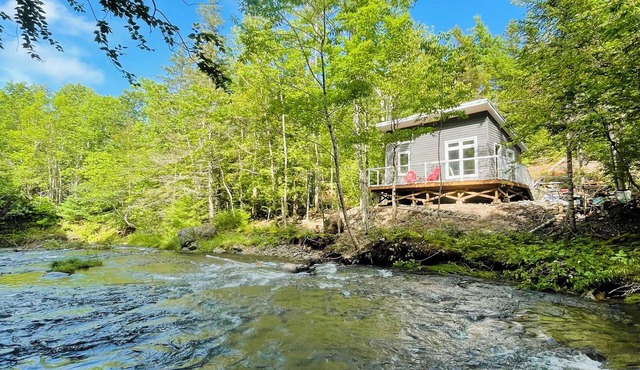 Riverfront Cottage that offer Incredible views, is pet friendly and private