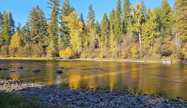 Riverfront Cottage Peaceful, Natural Setting