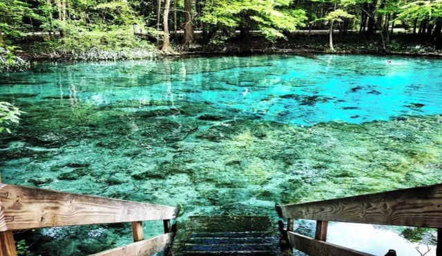 Riverfront Forest Retreat - Near Springs & UF! 3BR/2BA on the Santa Fe River!