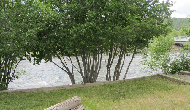 Riverfront Home With Hot Tub - Vacation On The San Juan. Near Wolf Creek!