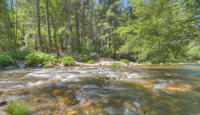 Riverfront House 5 miles to Yosemite! THE closest to the Hwy 120 gate. 3 bdrm AC