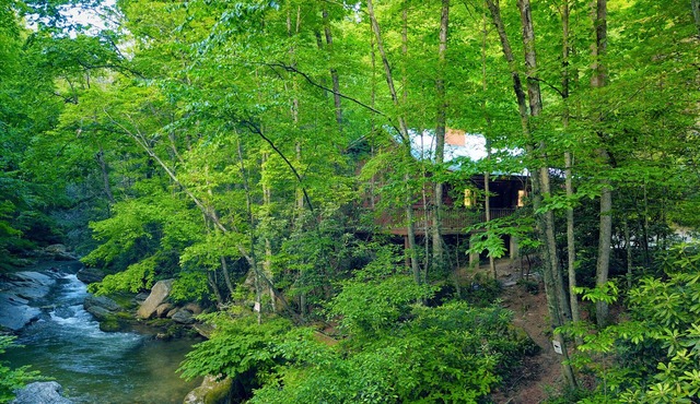 Riverfront Log Cabin w/Private Waterfall, Firepit & Panoramic Deck