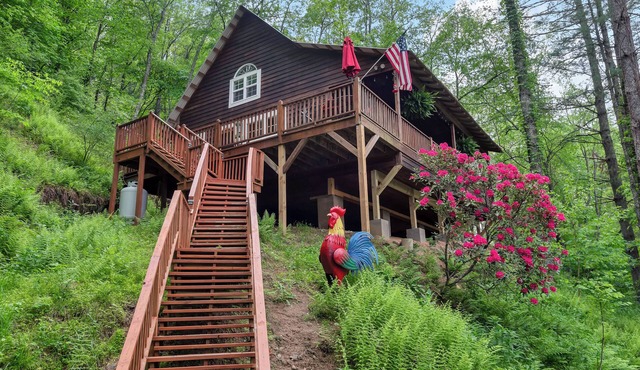 Riverfront log cabin in Crumpler- On the New River