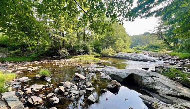Riverfront Log Home on 44 Acres with Sauna
