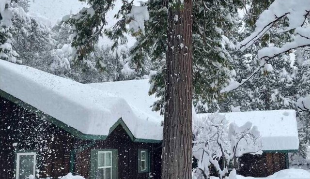 Riverfront Oasis on the Upper Sacramento River