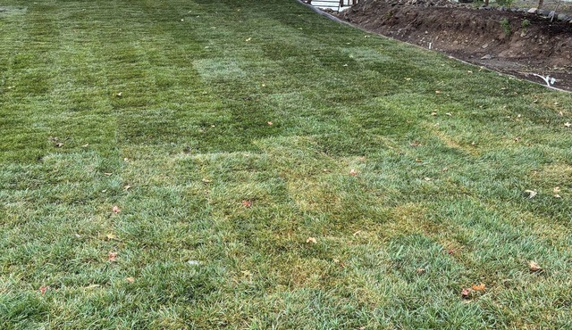 RIVERLIFE ON THE ROGUE RIVER