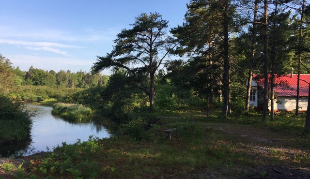 Rivers Edge/Off Grid/Bird Watching Summer Paradise