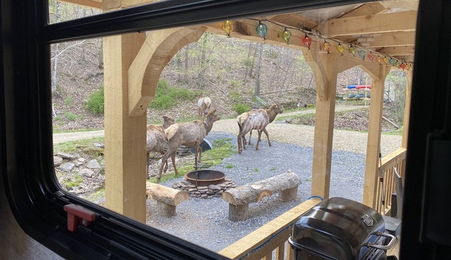 Rivers, private elk viewing, FREE amenities, site on 62 acres