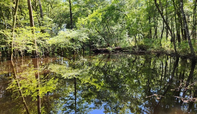 Riverside 2-bedroom Camper with AC and WiFi. Boat ramp available.