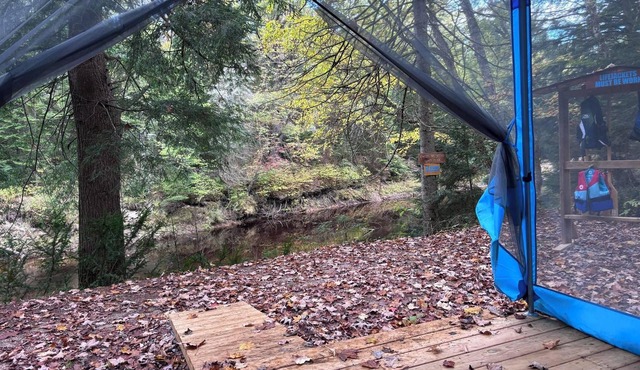 Riverside cabin in the woods