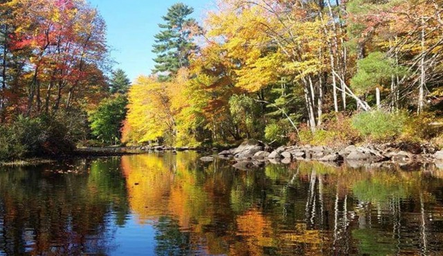 Riverside Charm: Water Front, Dogs OK, Beach, Dock, Hammocks, Kayaks, Fishing, Fast WiFi