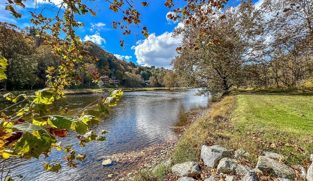 Riverside Escape Too: 4 BR, 2.5 BA Cabin/Bungalow in Piney Creek, Sleeps 8