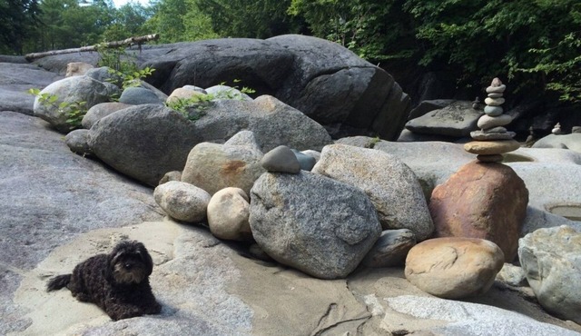 RIVERSIDE FULLER CAMP 9-Bedroom Timber-Frame Cottage style.