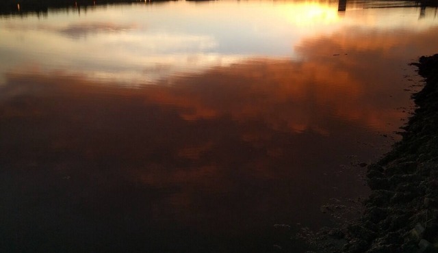 Riverside Home. 3 Bedroom. Free Parking. 10 mins to Newcastle Centre