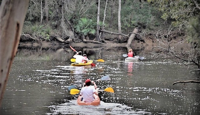 Riverside luxury in the Australian bush close to internationally famous Noosa.