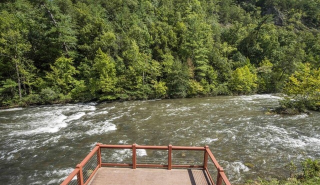 Riverside Premium Cabin