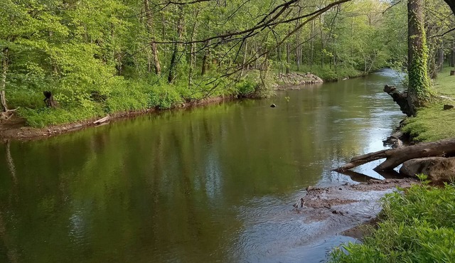 Riverside. Queen & Bunk bed-charcoal and firewood included. Pet friendly