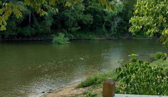 Riverside Retreat Cabin on the banks of Little River.