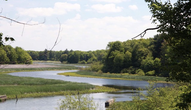 Riverside Retreat on 30 Wooded Acres-Perfect for Families, Teams, and Gatherings