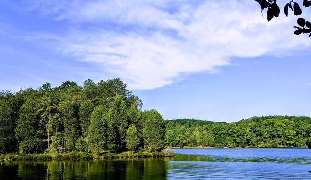 Riverten - Gated Executive Retreat on 16 acres - 200 per night
