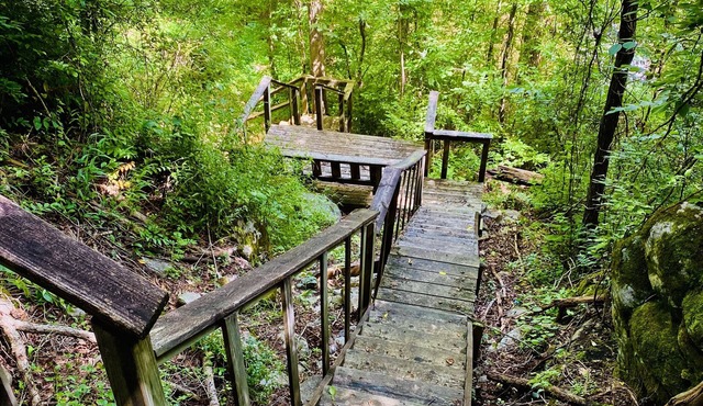 Riverview 1 Bedroom Cabin by RedAwning