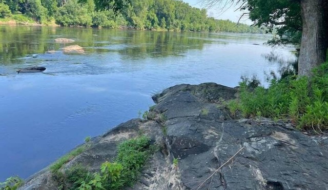 Riverview Cabin on the James