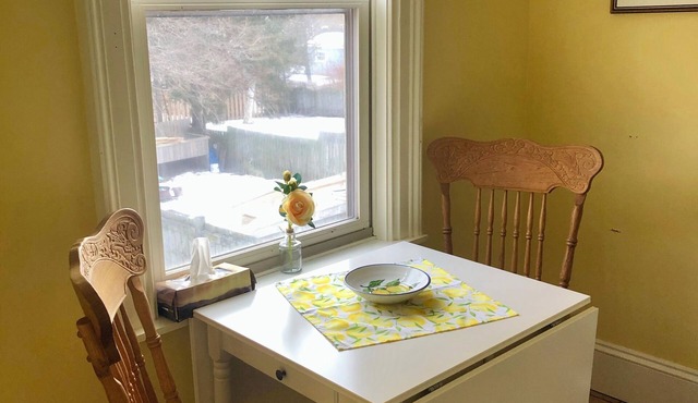 Riverview Heritage Award-Winning Downtown Duplex; pet-friendly, walkable