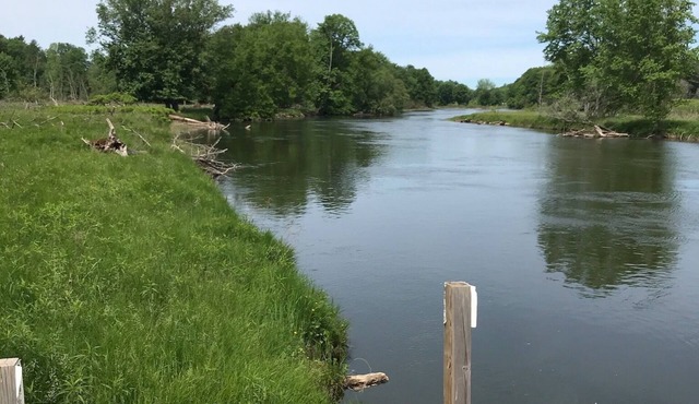 Riverview Hideaway New! Manistee River Frontage 2 Bedrom Cabin