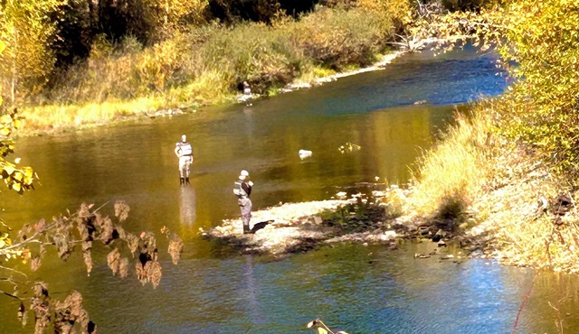 Riverview Lodge "Bear's Den" Condominium Cabin #6