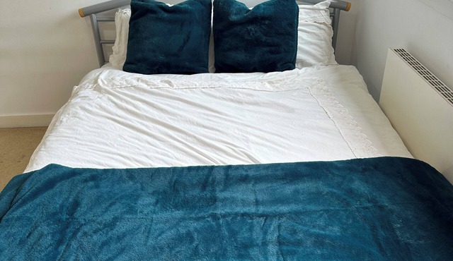 Riverview Penthouse Apartment within walking distance to the SECC