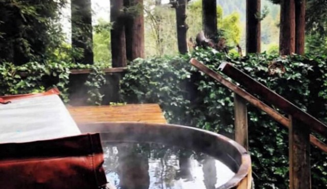 Riverview Treehouse with Hot Tubnn