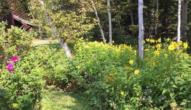 RM 16 - Lakefront with dock, sleeps 6, one private bedroom