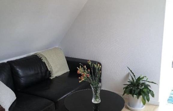 Ro i skoven - men tæt på byen