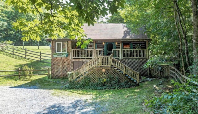 Roan Mountain Charming Cabin Hot Tub Close to Hiking Dogs Welcome