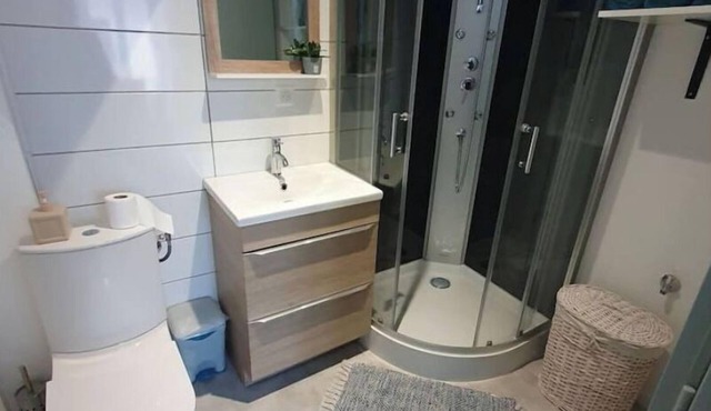 Roanne center, renovated apartment.