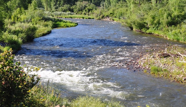 Roaring Fork Riverfront Mid-Valley Aspen