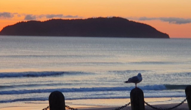 Roberts Beach Escape in Tairua is 3-5 minute walk from the beach