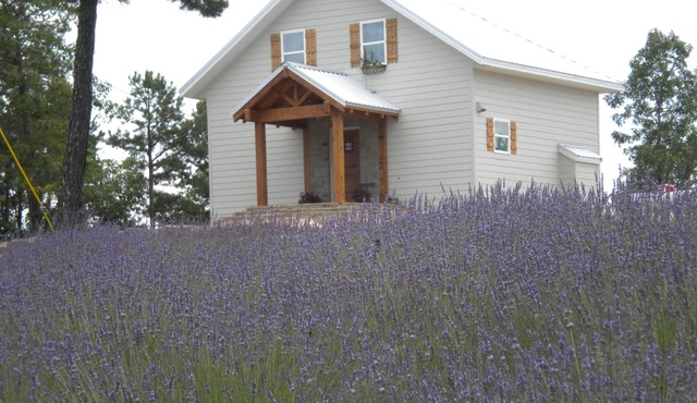 Roberts Belle Vue (Beautiful View) Chalet