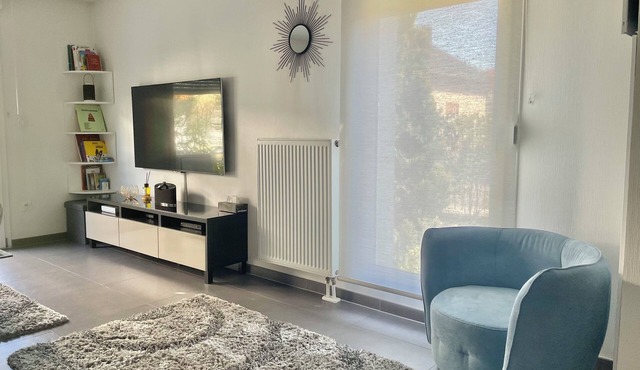 Robertsau Strasbourg- Modern 2P with garden in a residential area.