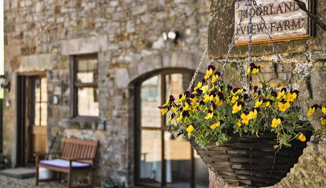 ROBIN COTTAGE, pet friendly, character holiday cottage in Winkhill