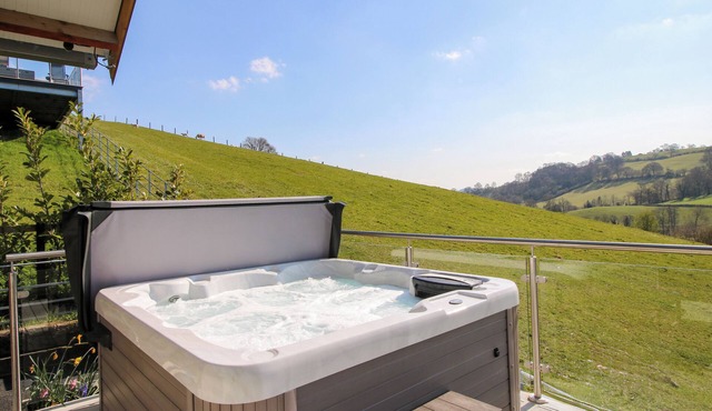 ROBIN GOCH, pet friendly, character holiday cottage in Garthmyl