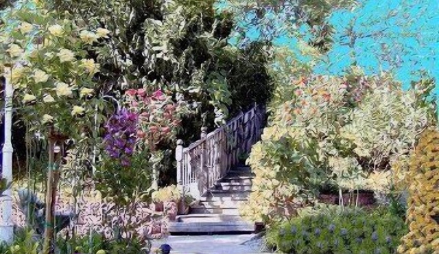 Robins Nest Bed & Breakfast