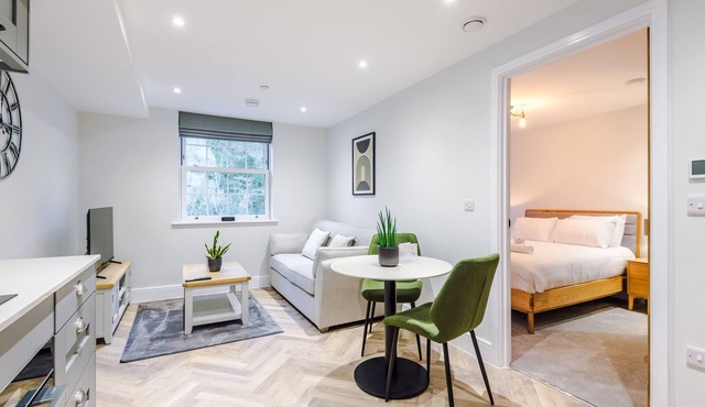 Rock Mill | Deluxe 1-Bed Apartment