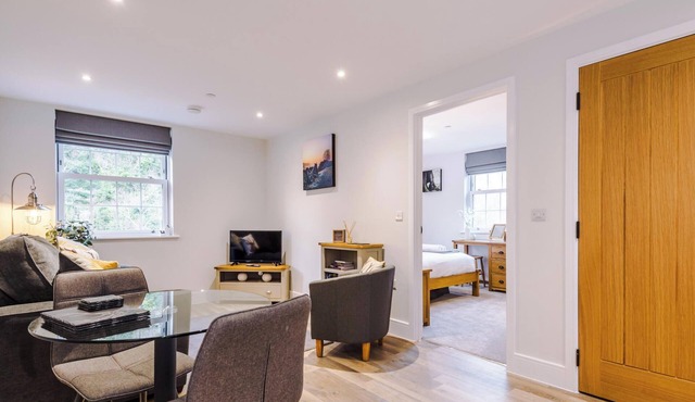 Rock Mill | Deluxe 1-Bedroom Apartment