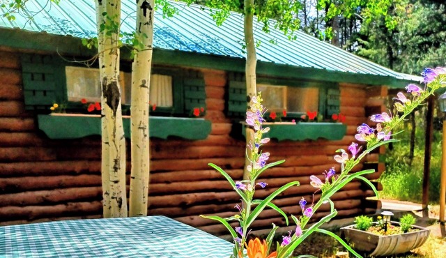 Rocky Mountain Cabins of Buena Vista