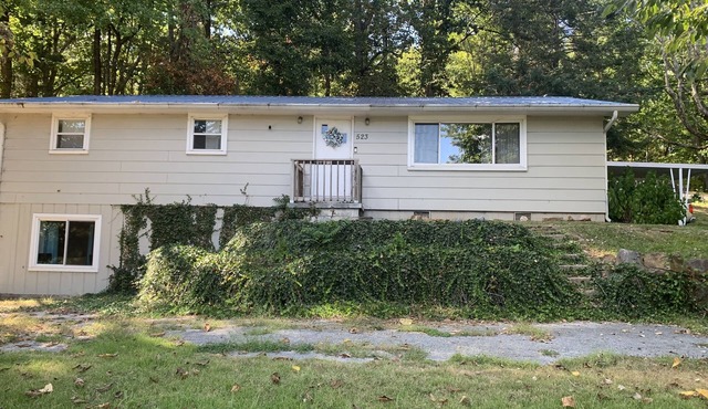 Roddy WildernessnQuiet Quaint Home in the woods.